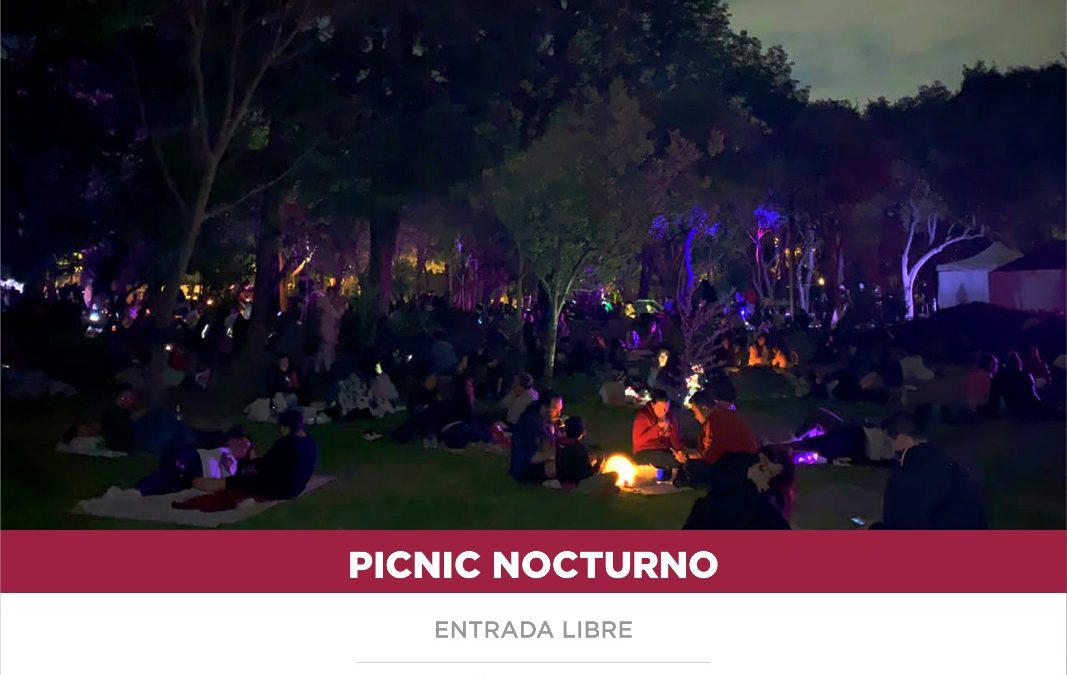 Picnic Nocturno en Chapultepec.